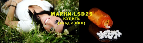 PSILOCYBIN Козельск