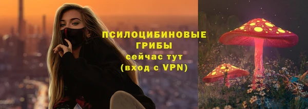 бутират Козловка