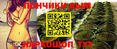 гидра Лесосибирск
