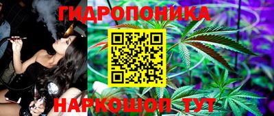 гидра Лесосибирск