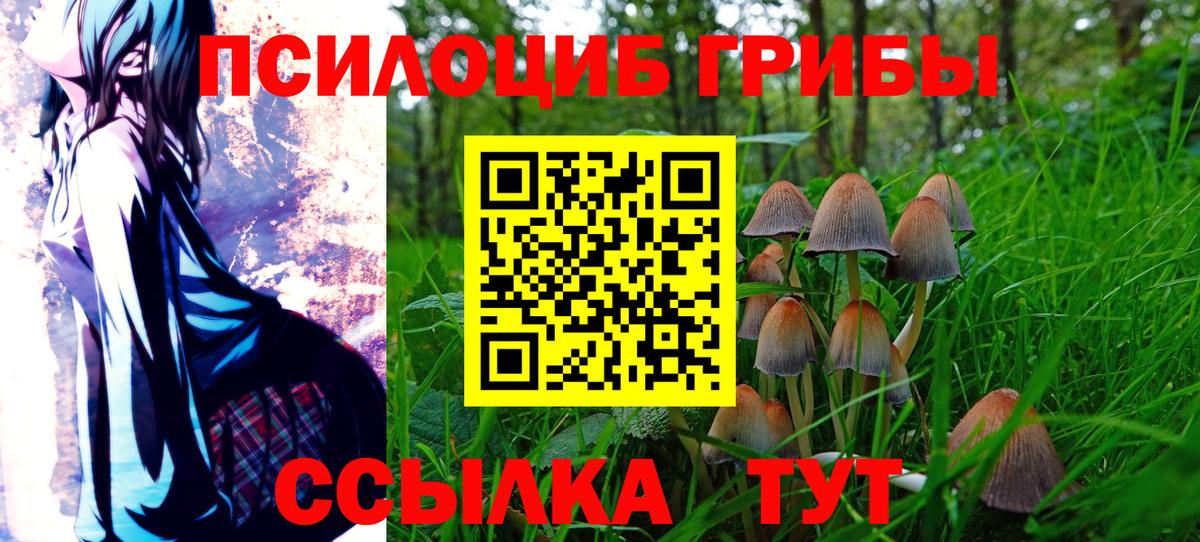 Галлюциногенные грибы прущие грибы  Галлюциногенные грибы Cubensis  Вход с VPN  Маркс 