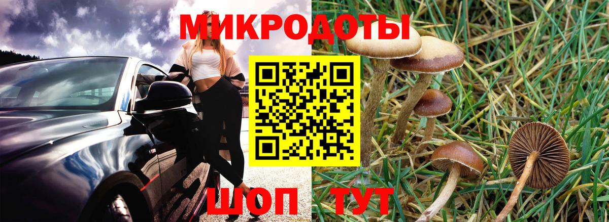 Псилоцибиновые грибы мицелий Маркс